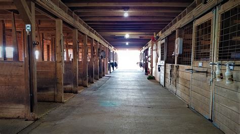 Lucie have been equipped with equestrian trials and amenities to explore on horseback. . Dressage stables near me